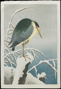 Black-crowned Night Heron in Snow, 1930s by Ohara Koson